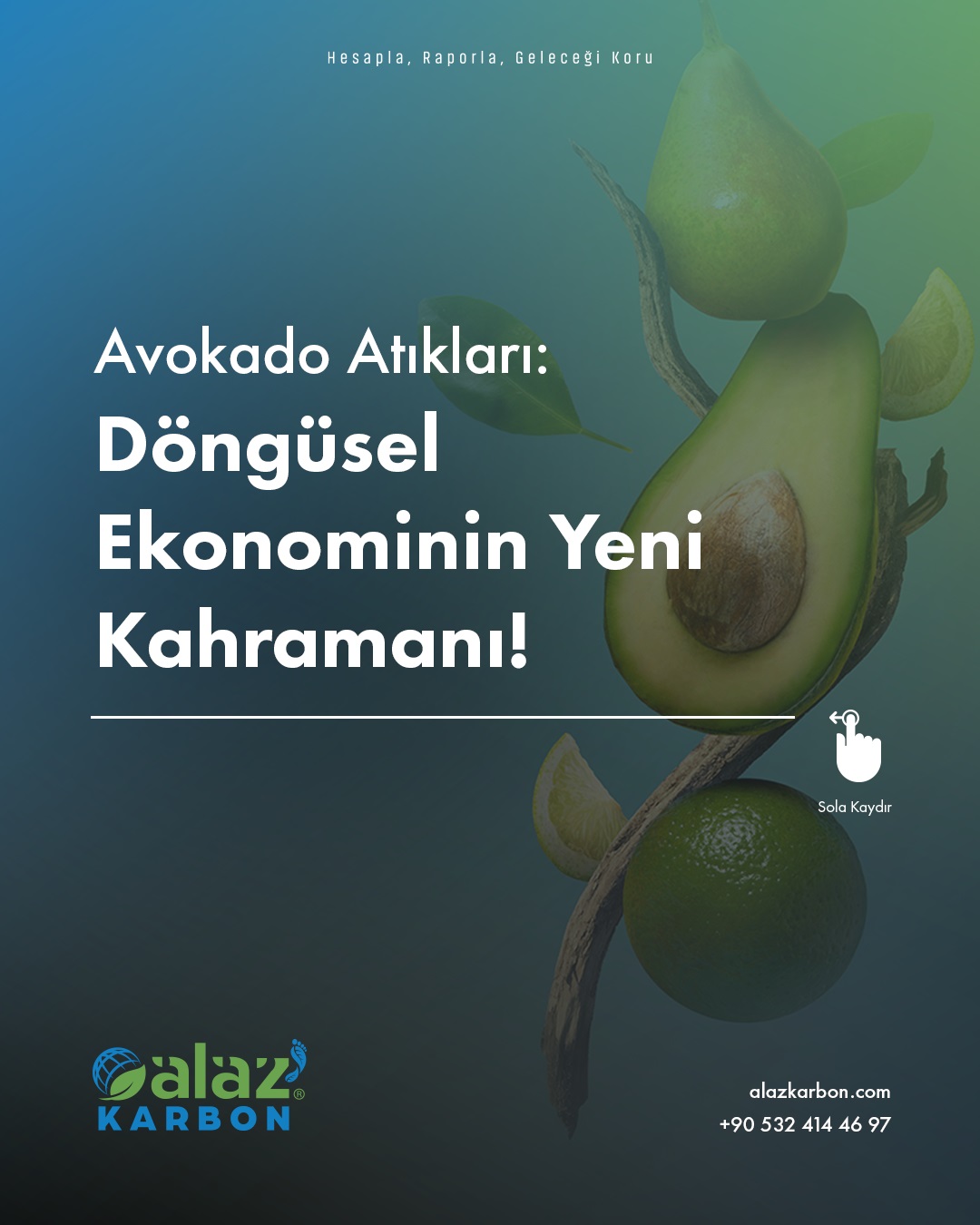 🥑 Avokado Atıkları: Sürdürülebilirliğin Yeni Kahramanı!