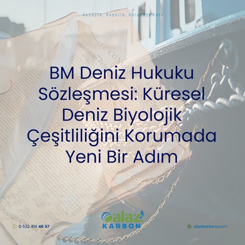 BM Deniz Hukuku Sözleşmesi: Küresel Deniz Biyolojik Çeşitliliğini Korumada Yeni Bir Adım